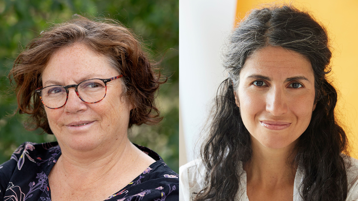 Folie, guerres et santé mentale : Où trouver le chemin de la raison