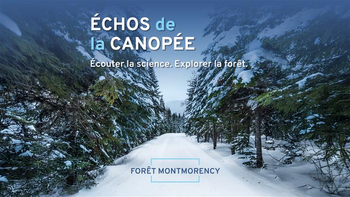 Échos de la canopée - Sur les pistes de la faune/16 janvier 2026