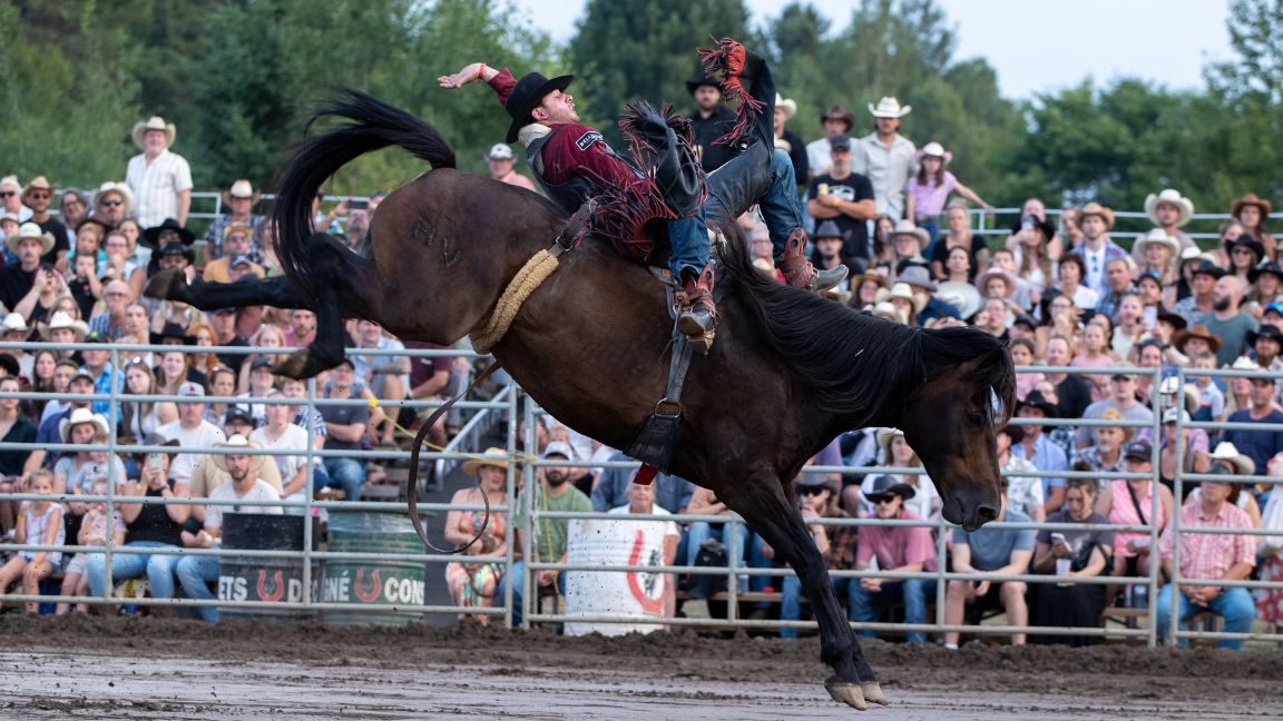 RODÉO PROFESSIONNEL VENDREDI