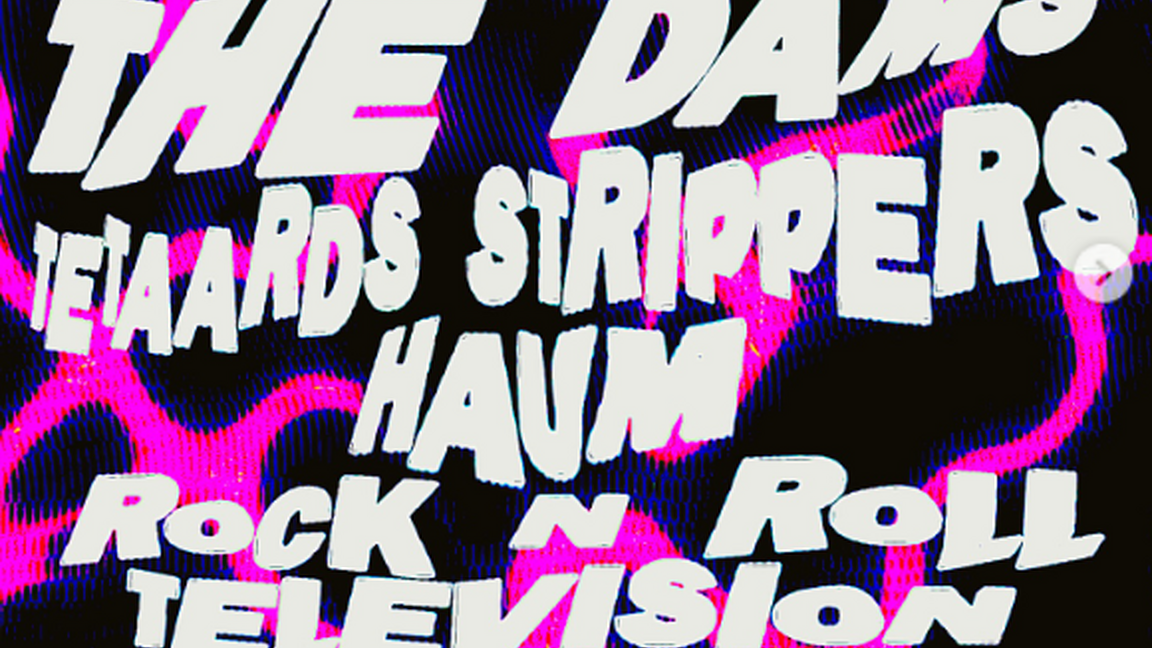 The Dams, Tetaards Strippers, Haum, RNR Television @ Bar Fly