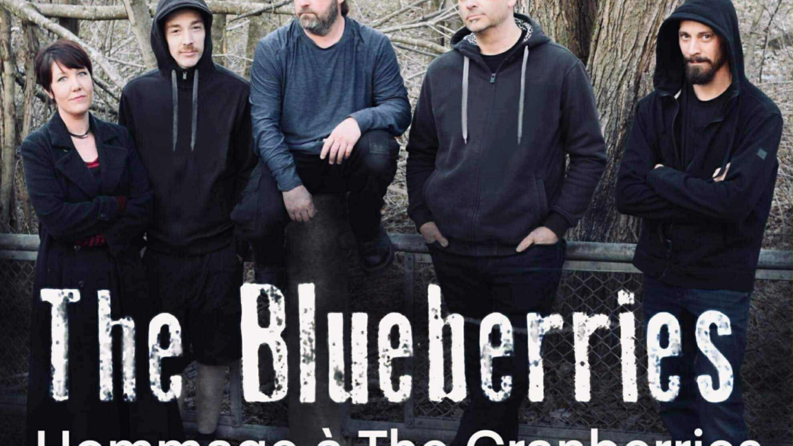 The Blueberries (Hommage au Cranberries) - Microbrasserie Wick Station