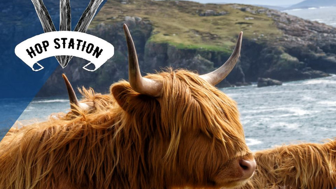 Dégustation animée - Scotch