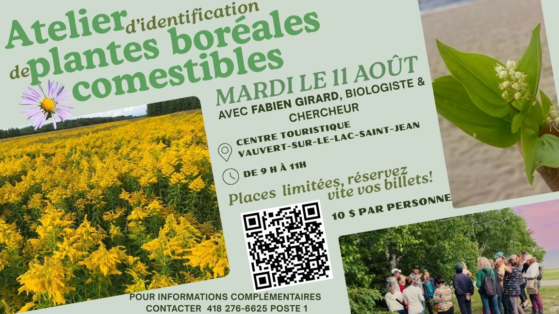 Atelier d'identifiaction de plantes boréales comestibles