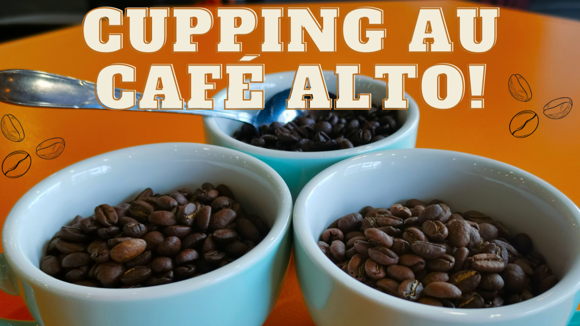 2 ième Séance de Cupping au Café Alto (groupe 2)