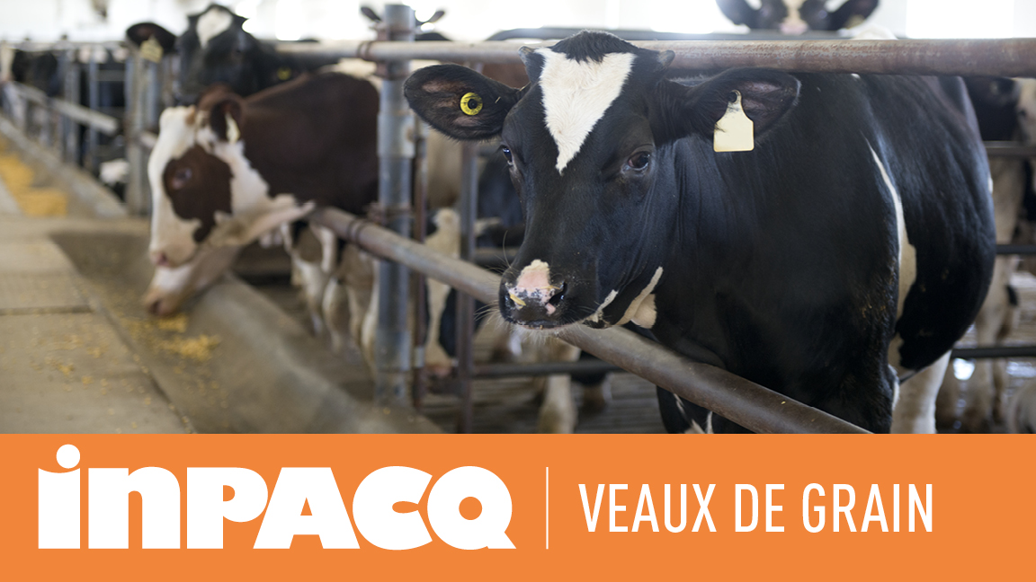 INPACQ Veaux de grain