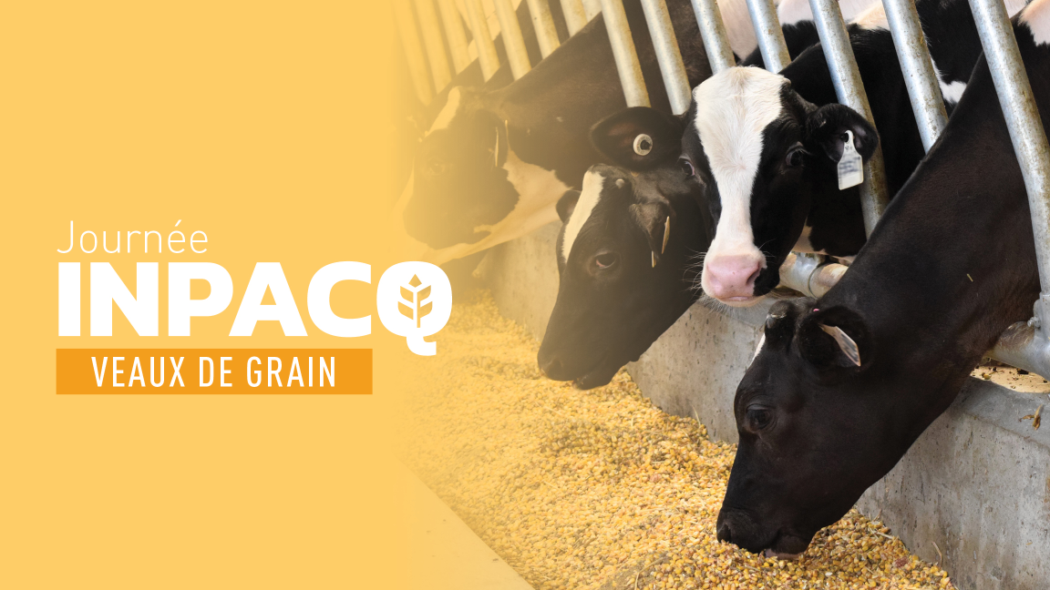 INPACQ Veaux de grain