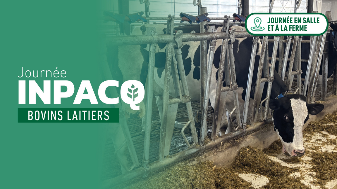 Journée INPACQ bovins laitiers