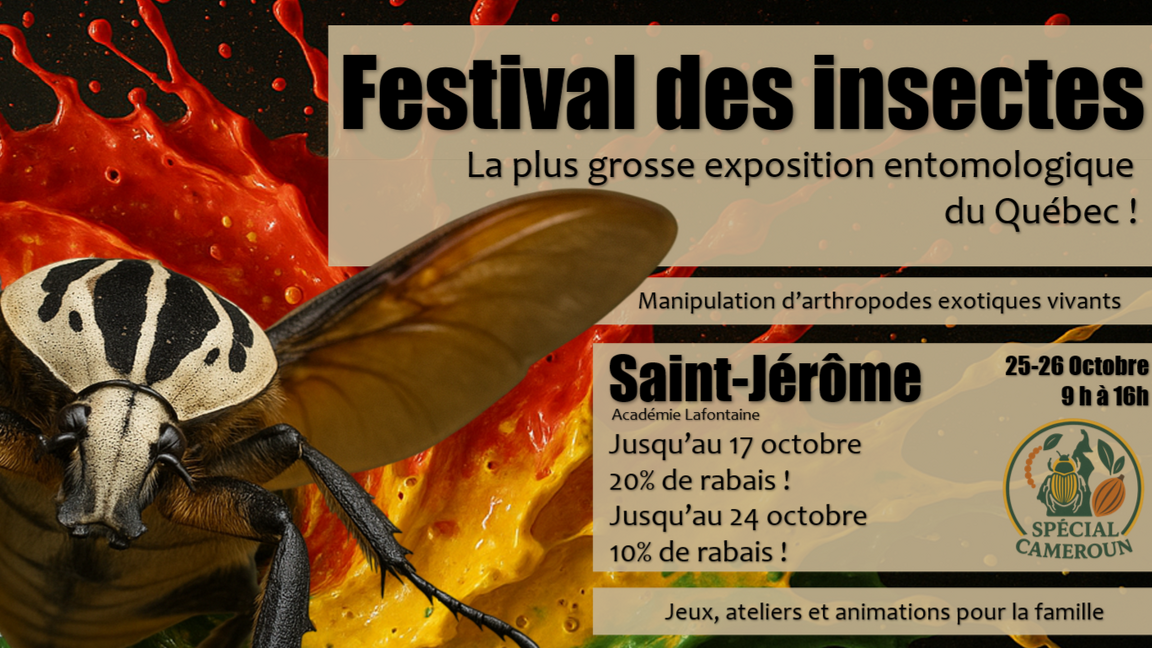 Festival des insectes de Saint-Jérôme