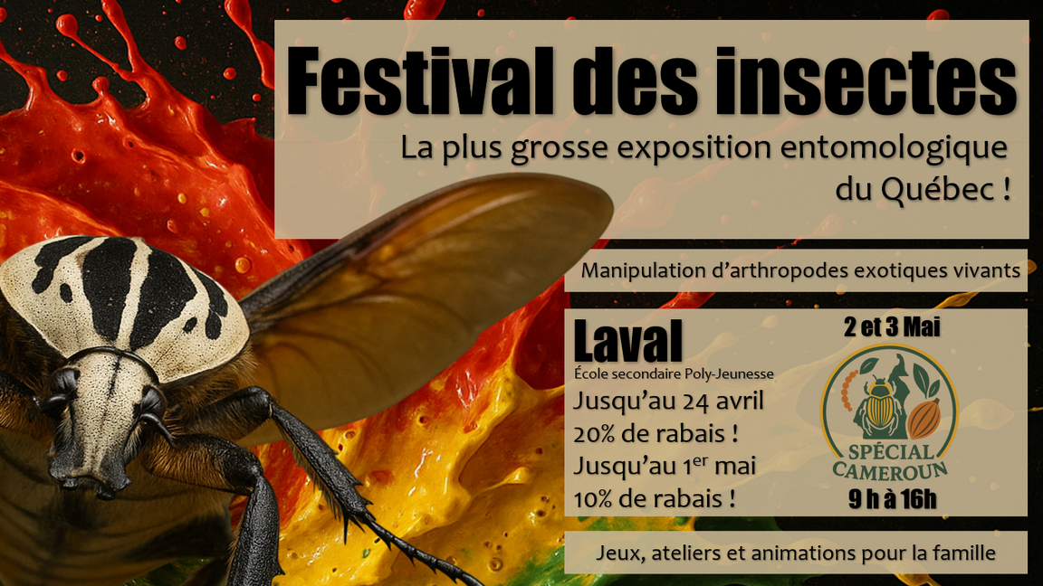 Festival des insectes de Laval