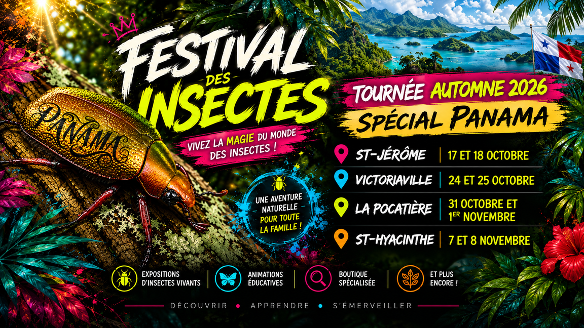 Festival des insectes de Saint-Jérôme