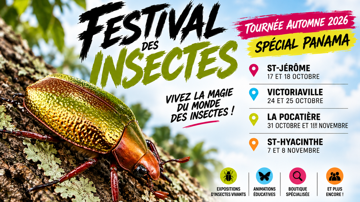 Festival des insectes de Saint-Hyacinthe