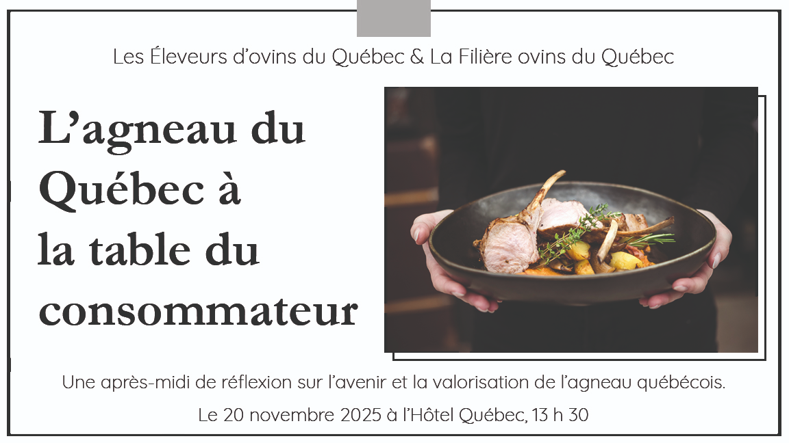 L'agneau du Québec à la table du consommateur