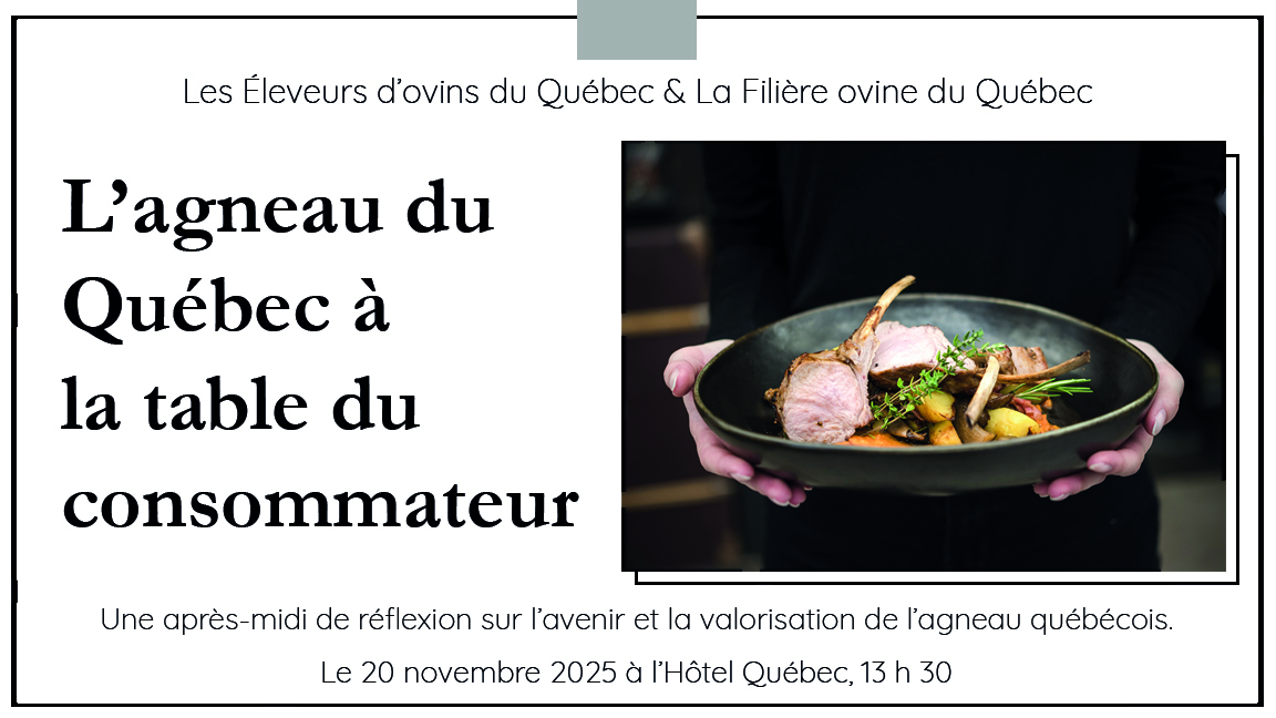 L'agneau du Québec à la table du consommateur