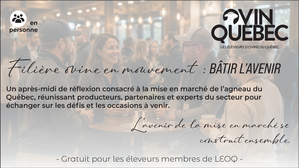 Filière ovine en mouvement – bâtir l’avenir
