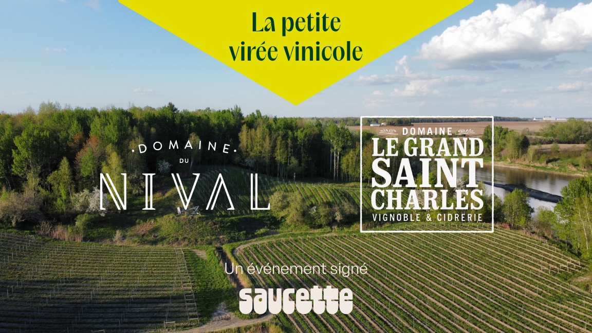 La petite virée vinicole Saucette x GSC x Nival