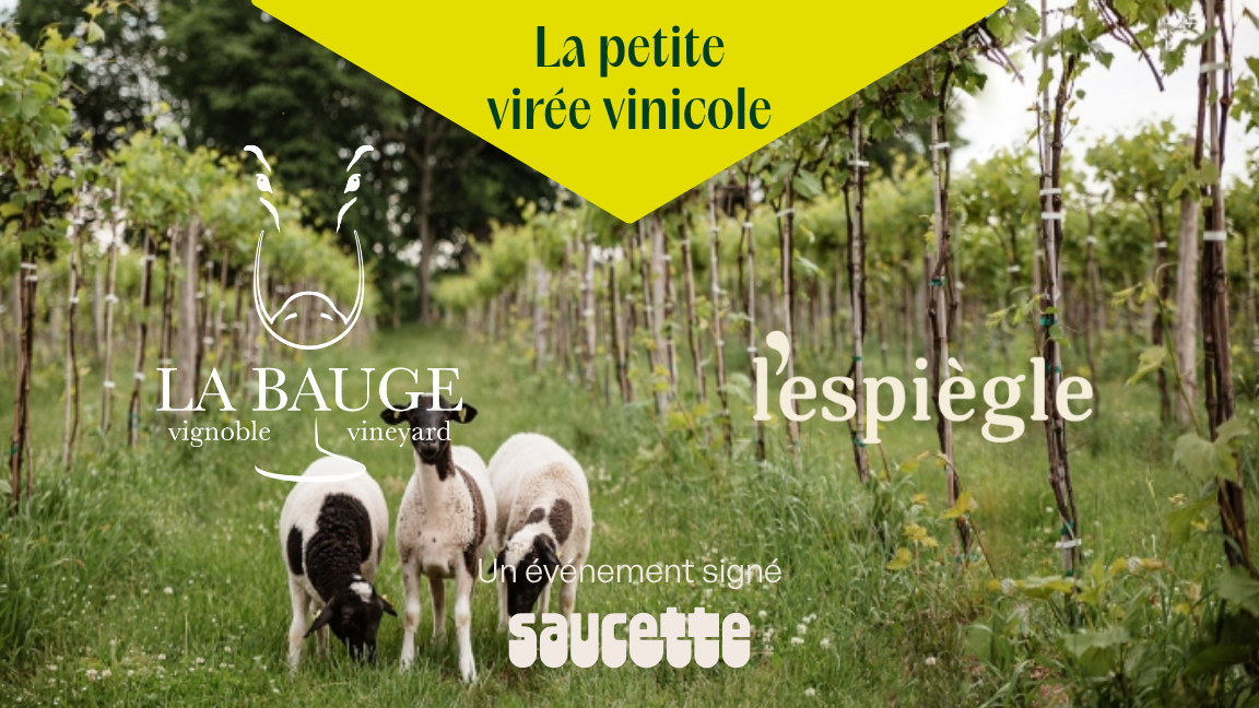 La petite virée vinicole Saucette x La Bauge x l'espiègle