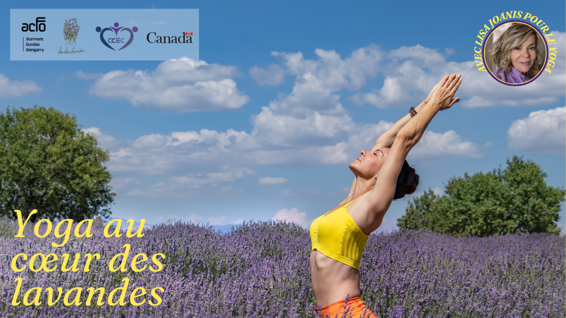 Yoga au coeur des lavandes