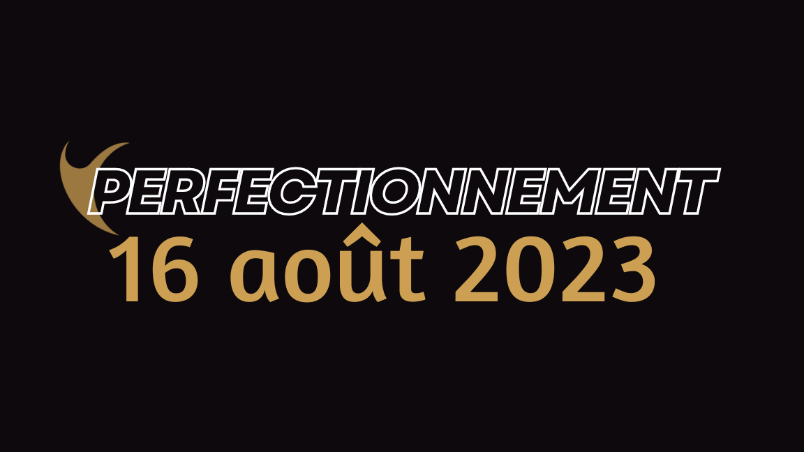 Camp de perfectionnement en danse (Jour 2)