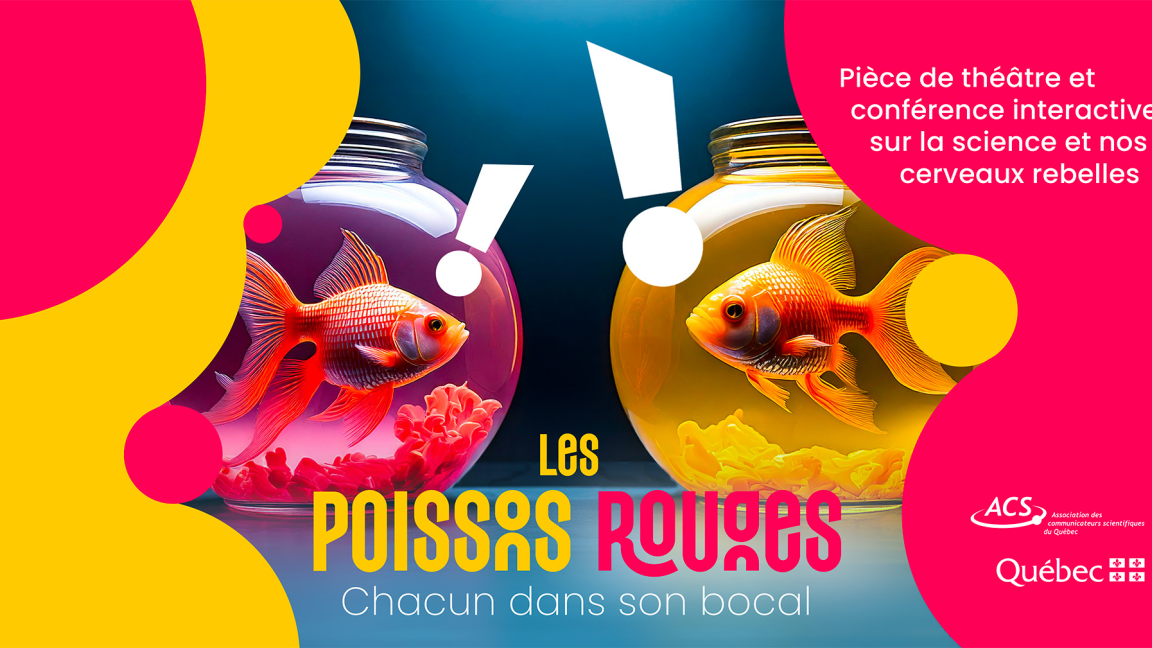 Les poissons rouges – Chacun dans son bocal