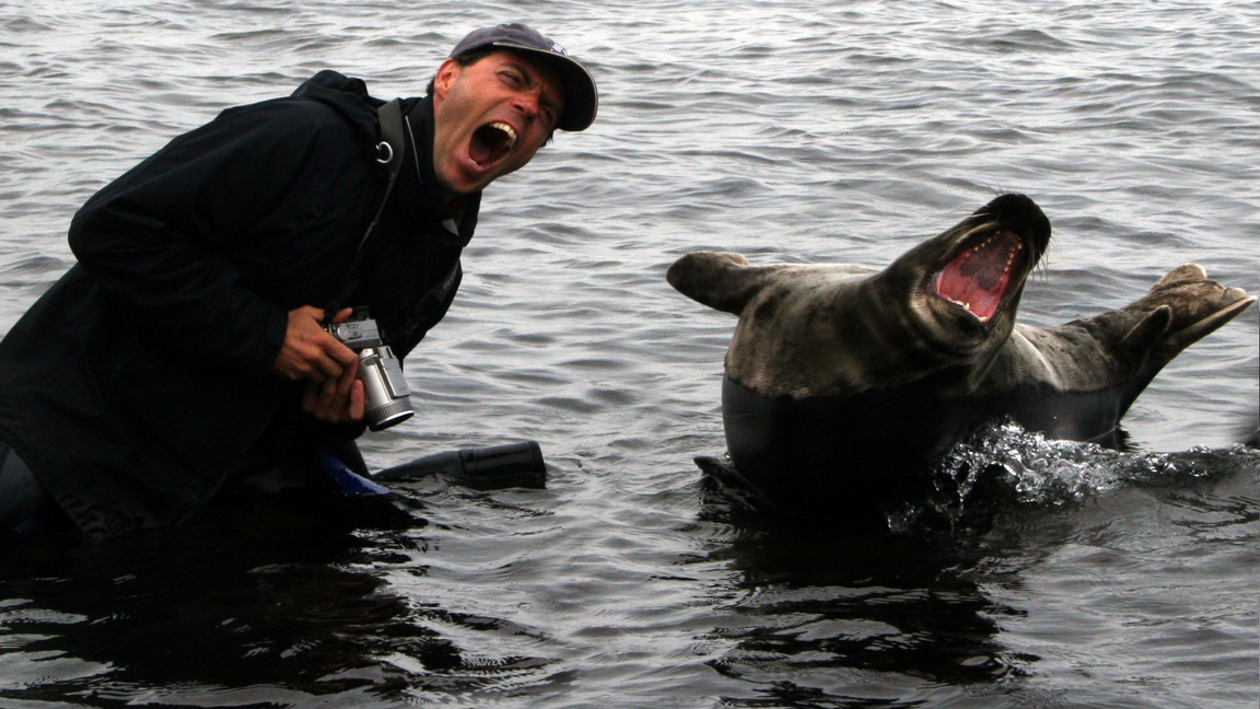 Le phoque et le violon