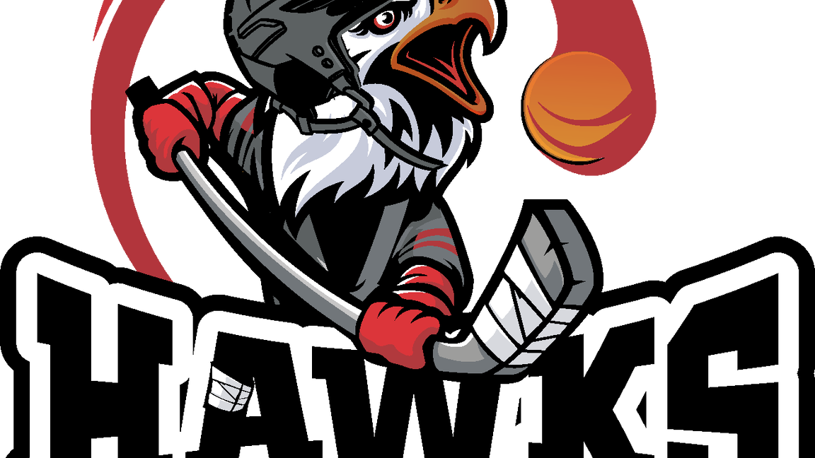 Demi-Finale / Hawks Vs PSL