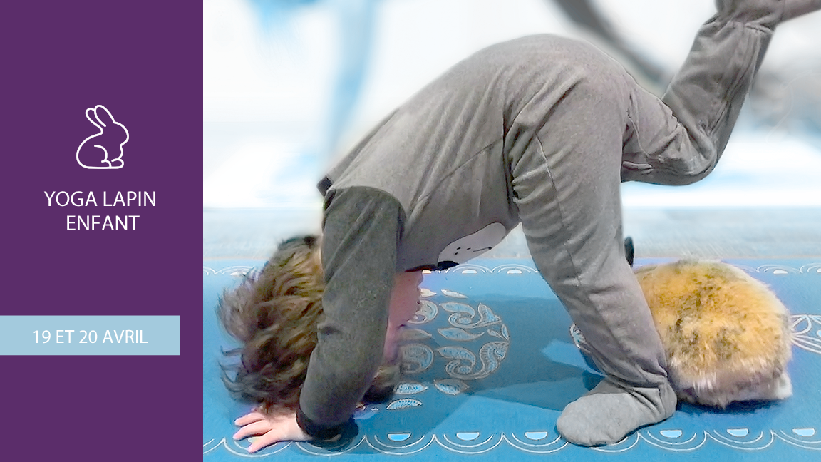 Yoga Lapin - enfant