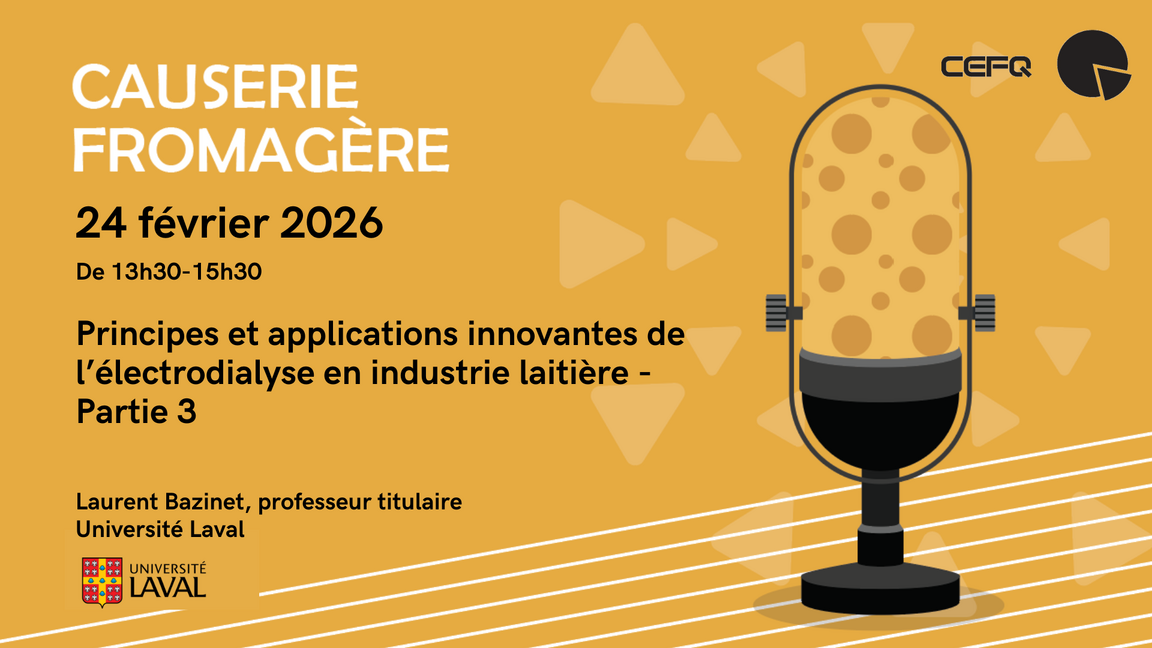 Causerie fromagère - Principes et applications innovantes de l’électrodialyse en industrie laitière - Partie 3