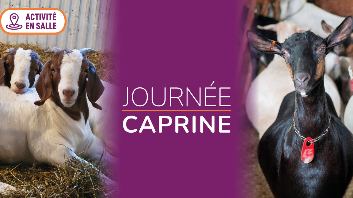 Journée caprine 2026
