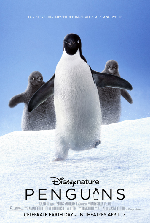 Pingouins V.F.