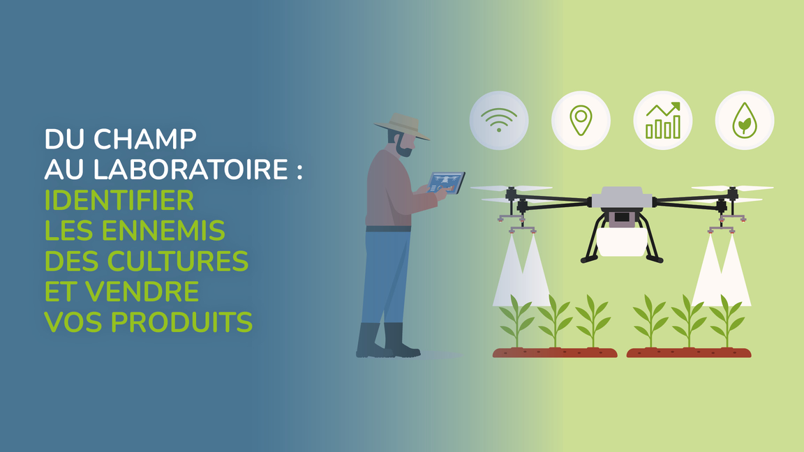 Drones agricoles : évaluer avant d’investir