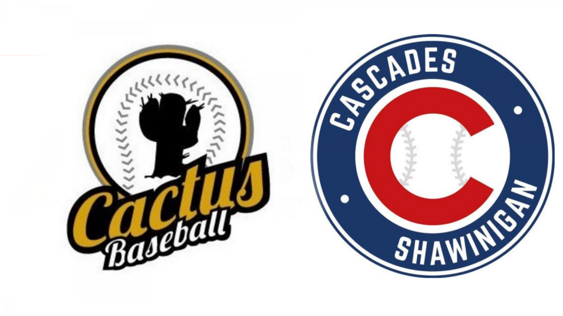 Victoriaville VS Shawinigan