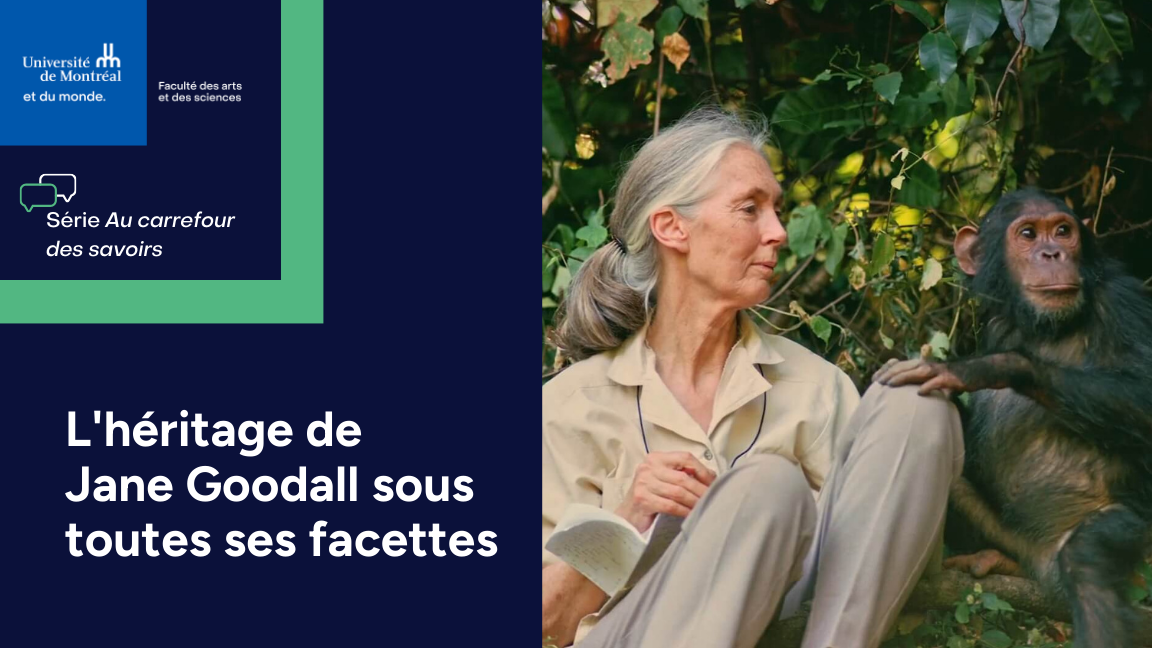 L'héritage de Jane Goodall sous toutes ses facettes