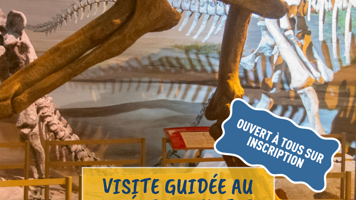 Visite du musée de la Nature
