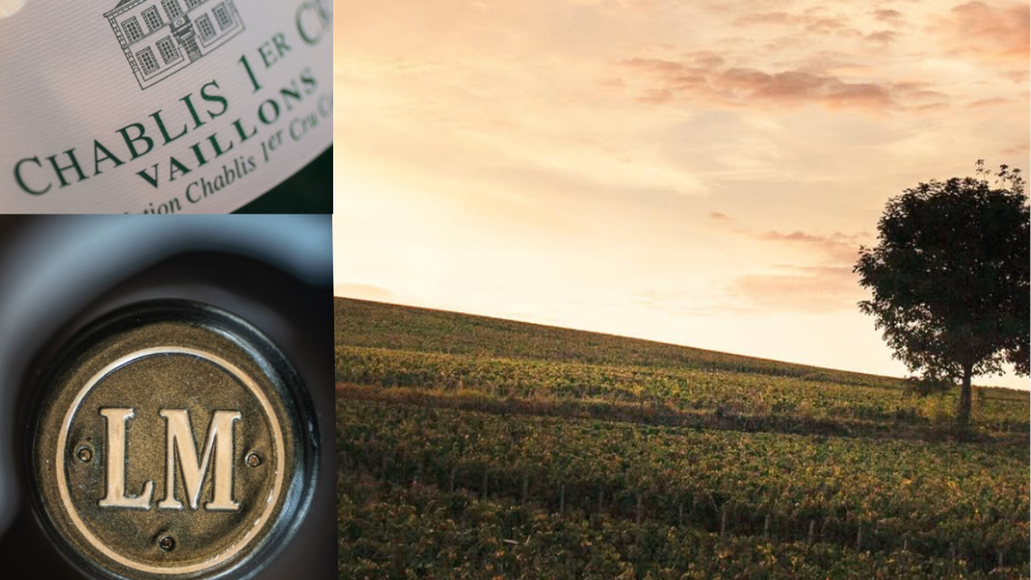Dégustation des Grands Vins de Chablis par Louis Moreau