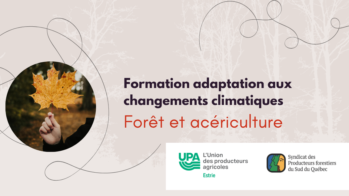 Formation - adaptation aux changements climatiques - forêt et acériculture