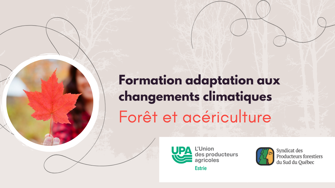 Formation - adaptation aux changements climatiques - forêt et acériculture