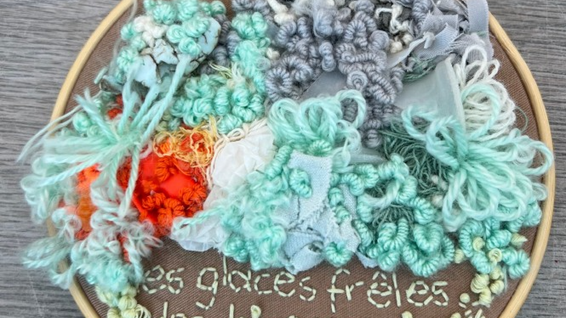 Vernissage de l'exposition « J’entends battre le cœur du lichen »