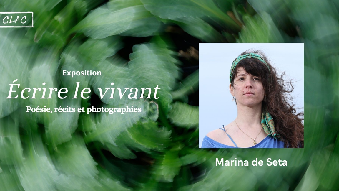 Lectures-causeries avec Marina de Seta