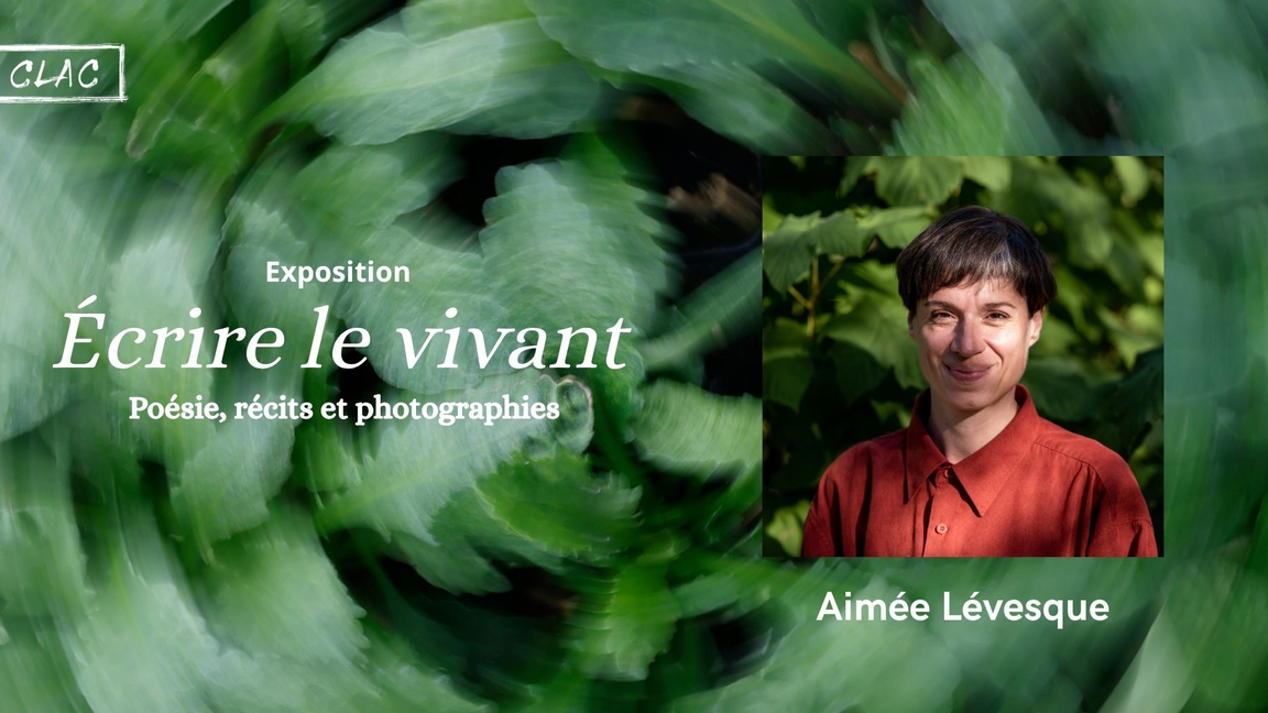 Lectures-causeries avec Aimée Lévesque