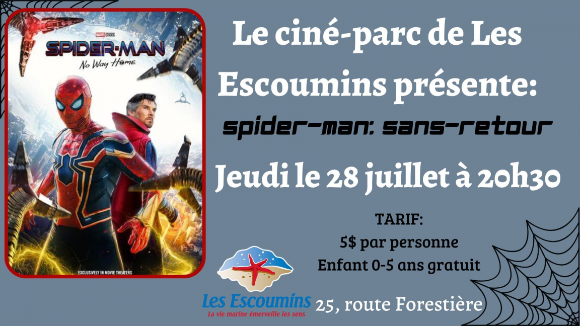 Spider-Man  Sans-Retour