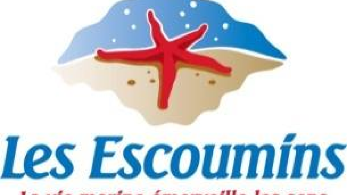 Camping parc des chutes