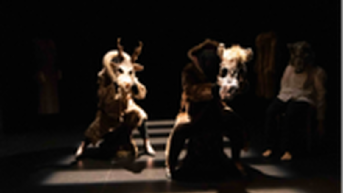 A comme animal - Projets de l'ombre
