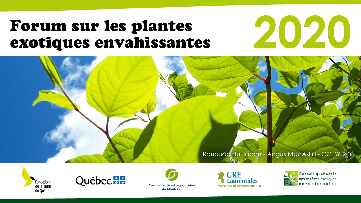 Plantes exotiques envahissantes au Québec : gestion, succès et perspectives