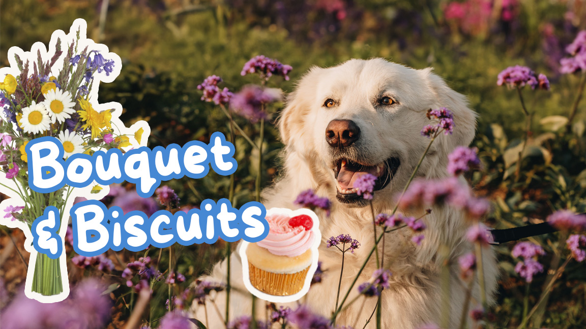 Bouquet & Biscuit - Pique-nique dans les fleurs