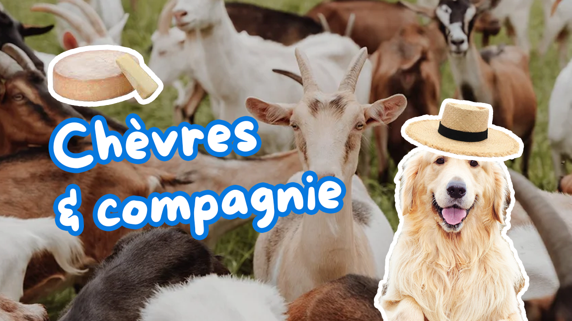 Chèvres & compagnie - Découvrir une chèvrerie avec son chien
