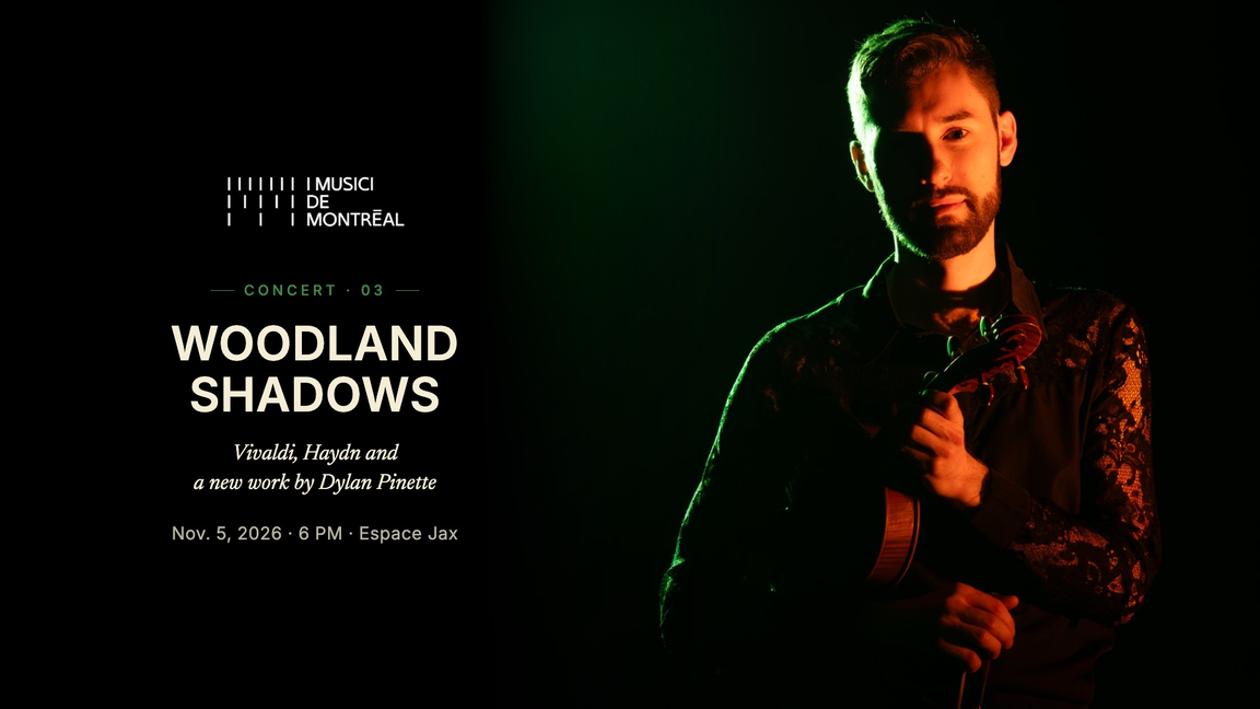 Woodland shadows
