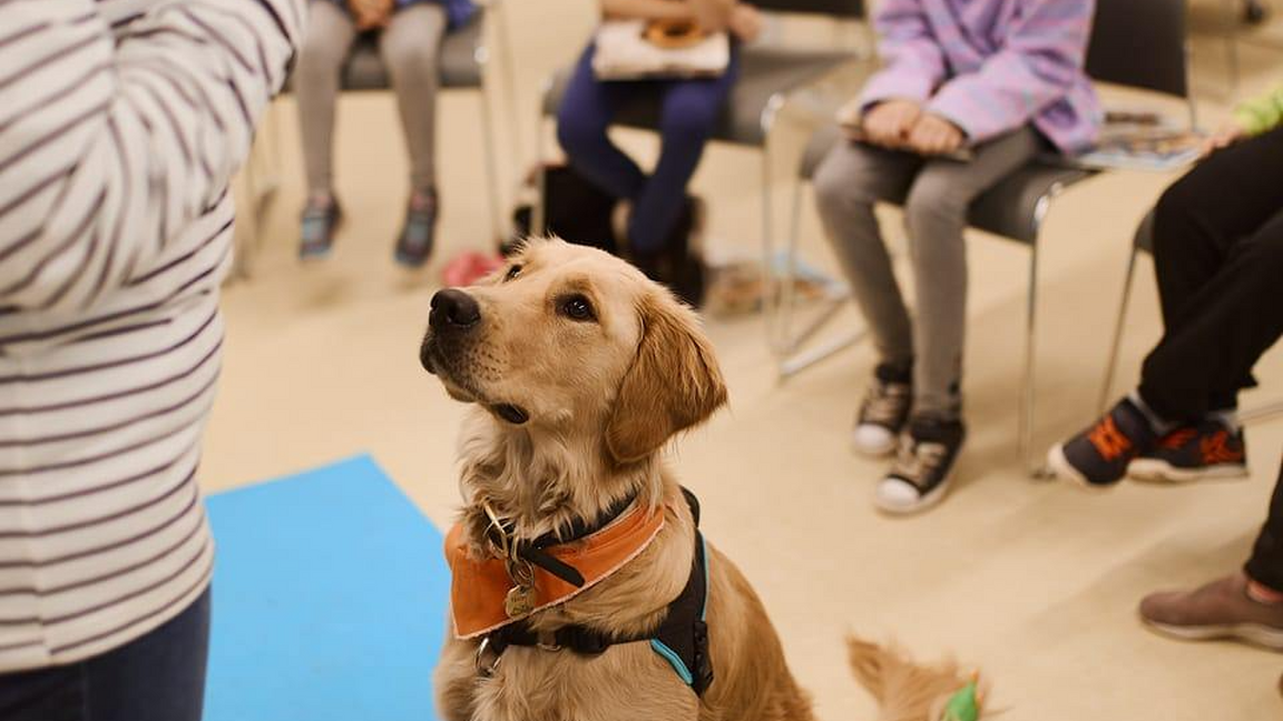Lis avec Poilu (groupe 1)