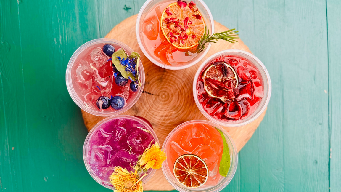 Serre de mocktails (groupe 1)