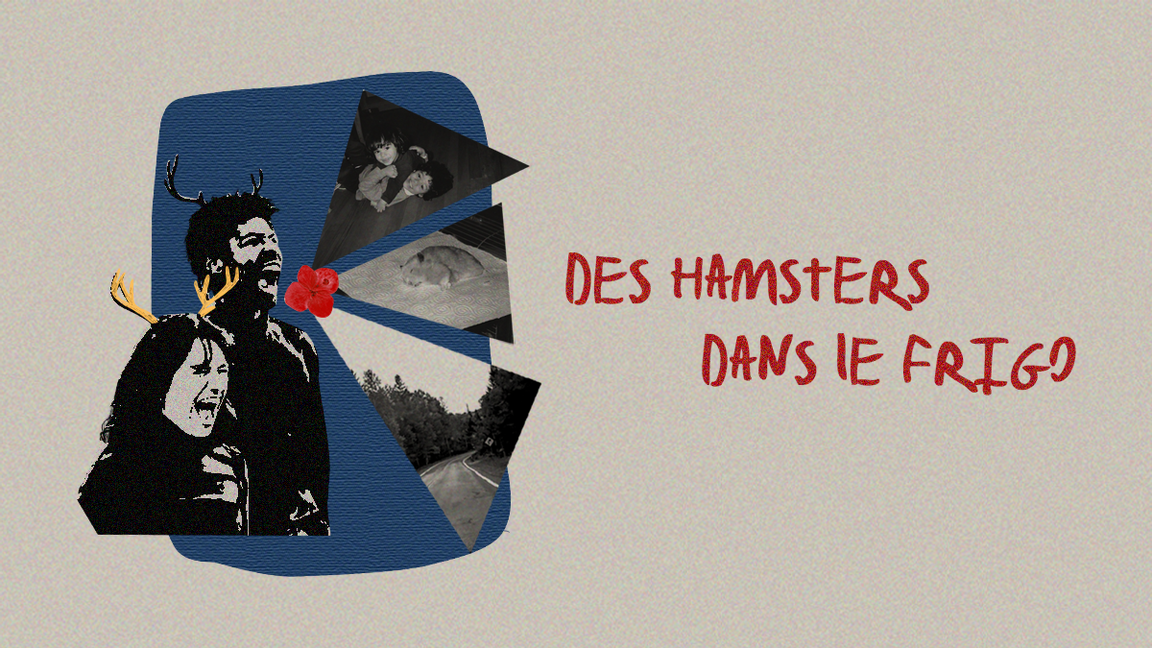 Des hamsters dans le frigo