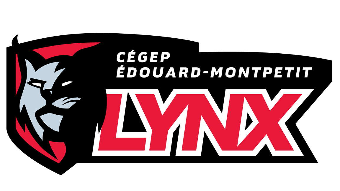 Tournoi INVITATION basketball Lynx - Janvier 2027